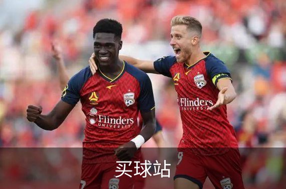 买球站介绍